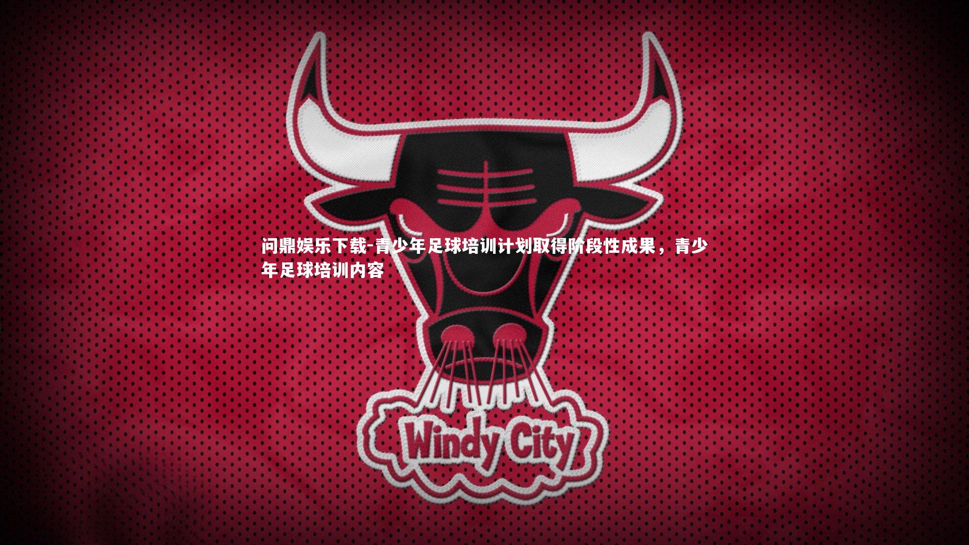 青少年足球培训计划取得阶段性成果，青少年足球培训内容